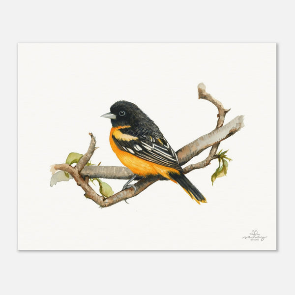 0df1de32-ba97-4970-bcdd-c495775a5e0f