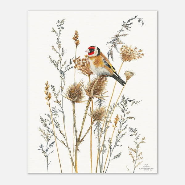 31001ad1-9f9d-456e-b158-d0996f50d317