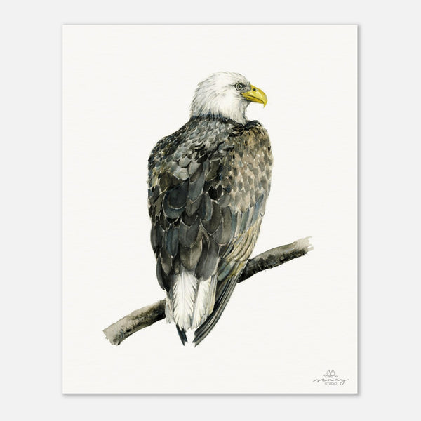 b3e312e7-0cbe-4f6c-9dce-9e7b65ca5ddc